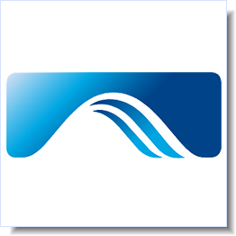 services FST partner